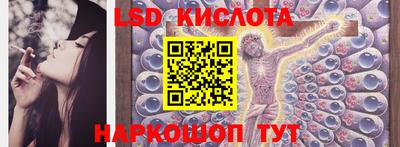 стаф Донецк