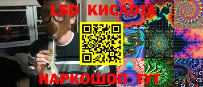 стаф Донецк