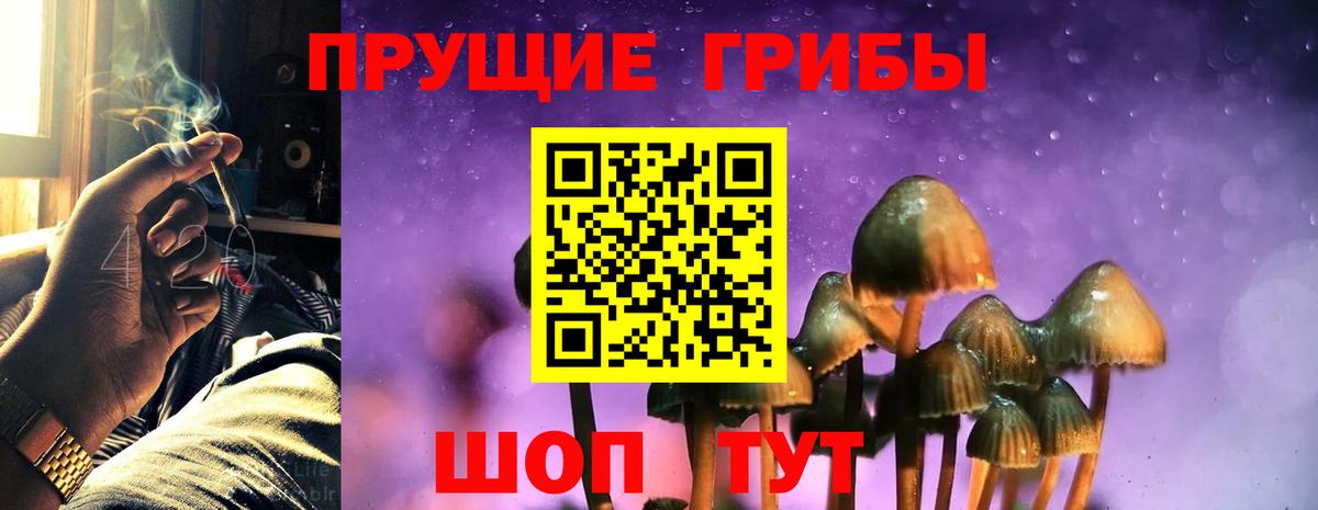 Псилоцибиновые грибы Magic Shrooms  Вход с VPN  Мелеуз  Псилоцибиновые грибы MAGIC MUSHROOMS 